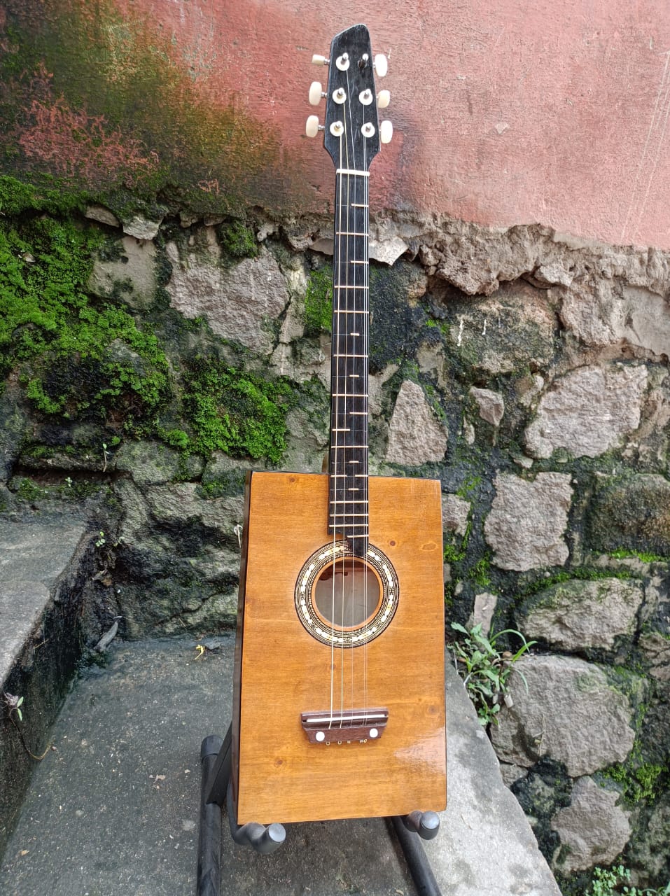 Kabosy modèle standard