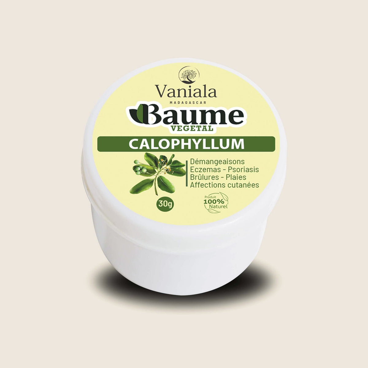 Calophyllum Balm from Madagascar | Vaniala – jar of plant balm on beige background