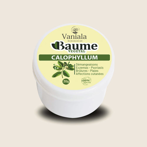 Calophyllum Balm from Madagascar | Vaniala – jar of plant balm on beige background