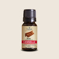 Cinnamon Essential Oil from Madagascar | Vaniala – essential oil bottle on beige background