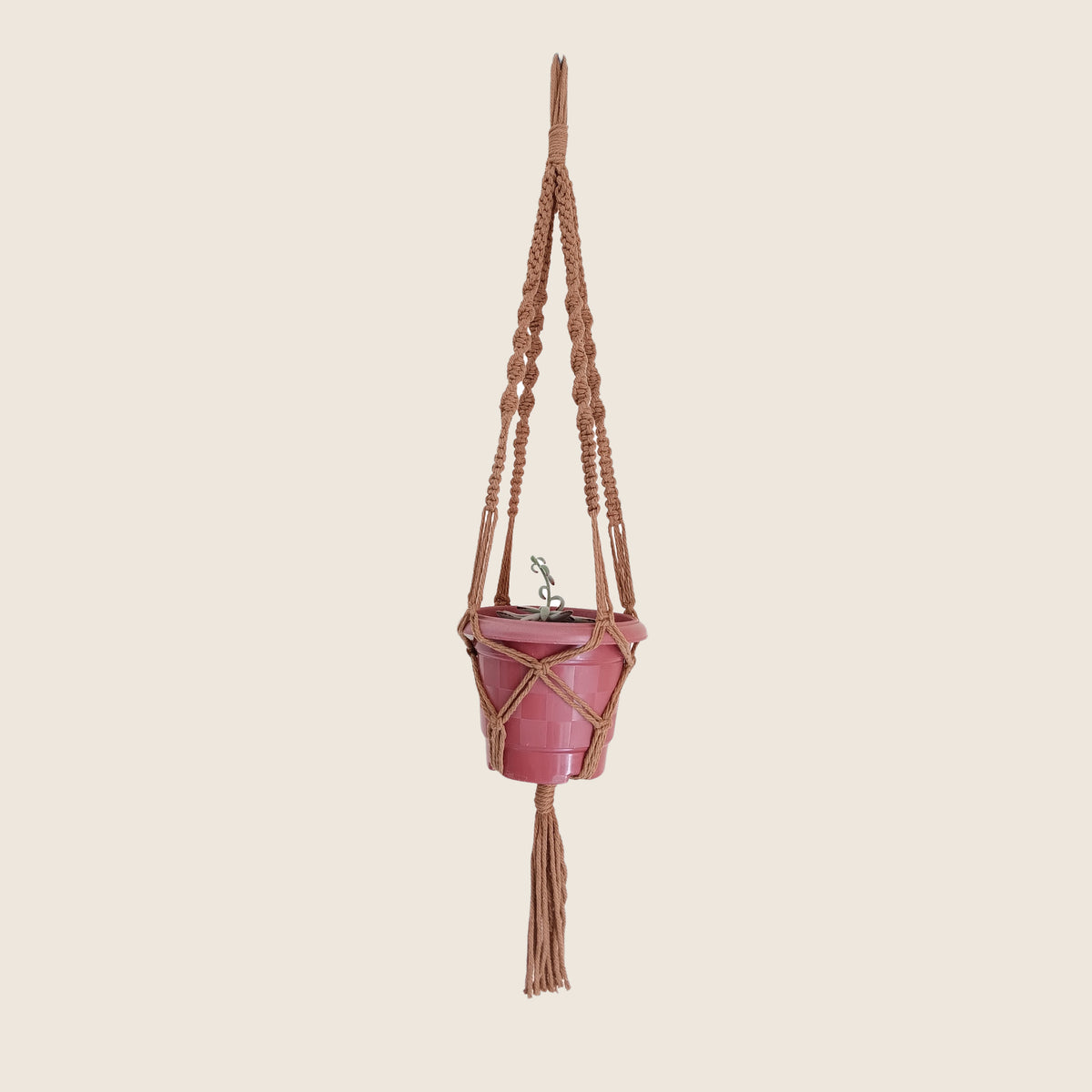 Macrame Plant Hanger from Madagascar | Craft Your Dream – macrame plant hanger holding a potted plant