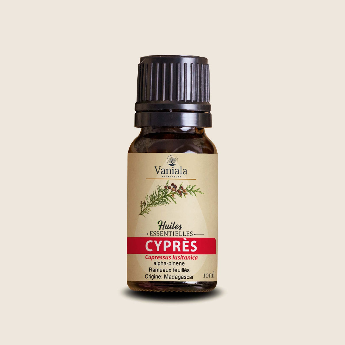 Cypress Essential Oil from Madagascar | Vaniala – essential oil bottle on beige background