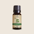 Eucalyptus Essential Oil from Madagascar | Vaniala – essential oil bottle on beige background