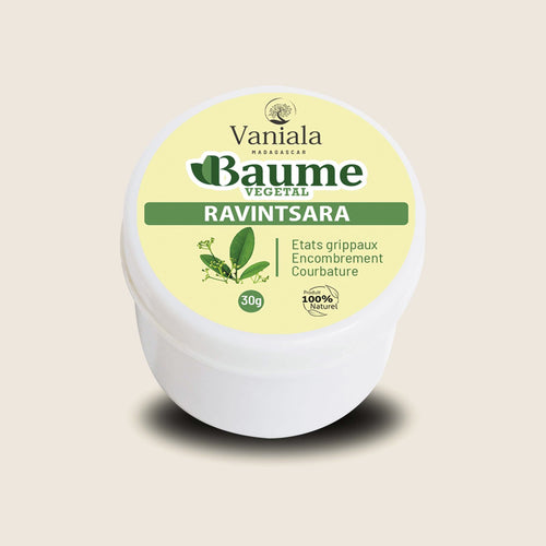 Ravintsara Balm from Madagascar | Vaniala – jar of plant balm on beige background
