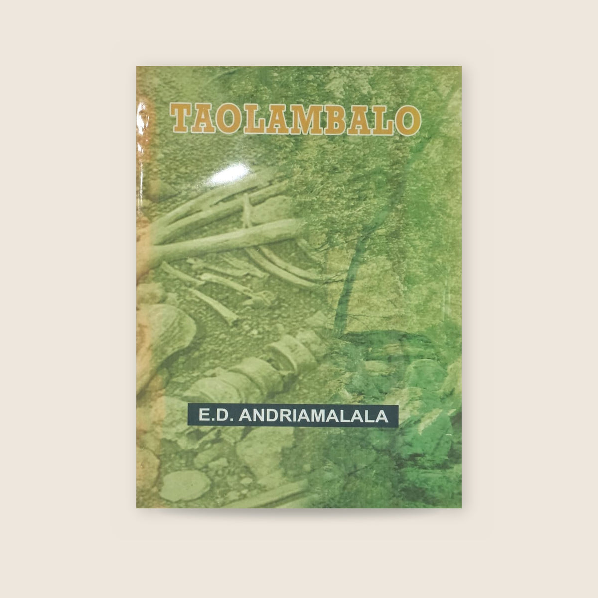 Taolambalo by E.D. Andriamalala | Malagasy Novel – book cover