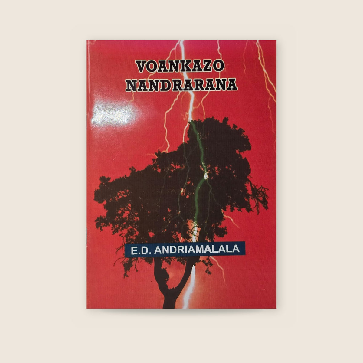 Voankazo Nandrarana by E.D. Andriamalala | Novel – book cover